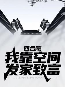 四合院：我靠空间发家致富孙正国孙大江林文翠孙正安小说阅读_四合院：我靠空间发家致富小说全文免费阅读