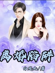 离婚陷阱张存友老周婆婆我妈小说无弹窗_离婚陷阱全本小说